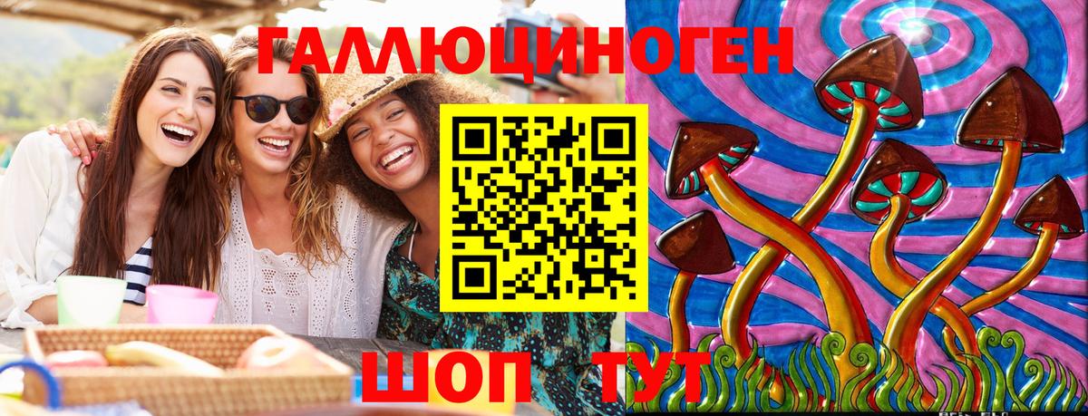 дарнет шоп  Галлюциногенные грибы Psilocybe  Вход с VPN  Псков 