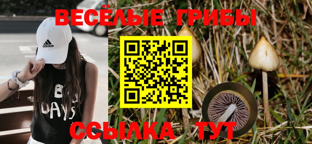 Галлюциногенные грибы мухоморы Псков